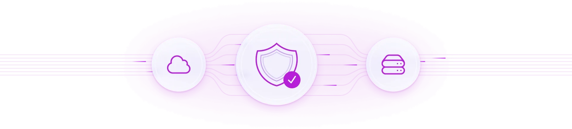 ssl-security-wordpress